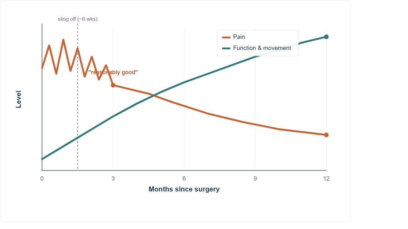 Graph showing pain gradually decreasing and function improving over 12 months after rotator cuff repair surgery